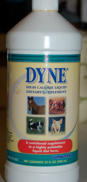 dyne for newborn puppies